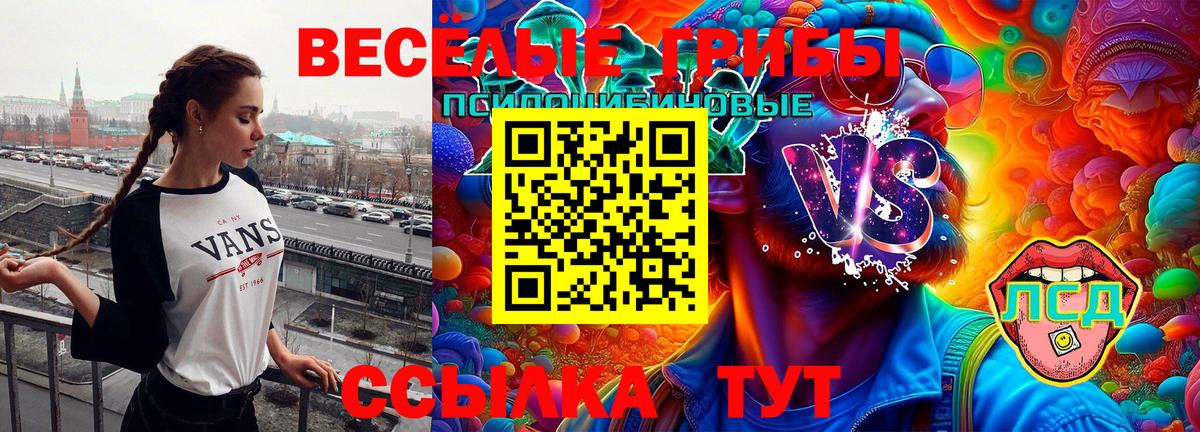 Псилоцибиновые грибы мицелий  что такое   Сорочинск  Вход с VPN 